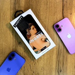 Casetify Ingres на 15 pro max